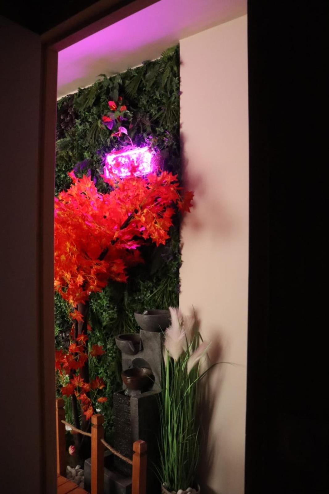 Loveroom Japon Avec Balneotherapie Apartment Toulon