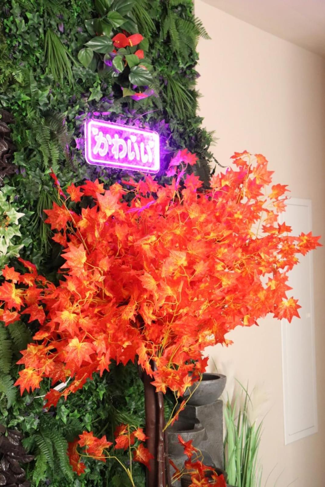 Loveroom Japon Avec Balneotherapie Apartment