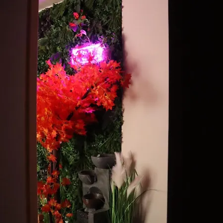 Loveroom Japon Avec Balneotherapie Toulon Exterior photo